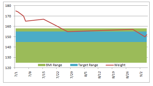 Free Dashboard Template Download Bmi Weight Tracker Excel