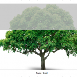 Single Image Tree Goal Chart