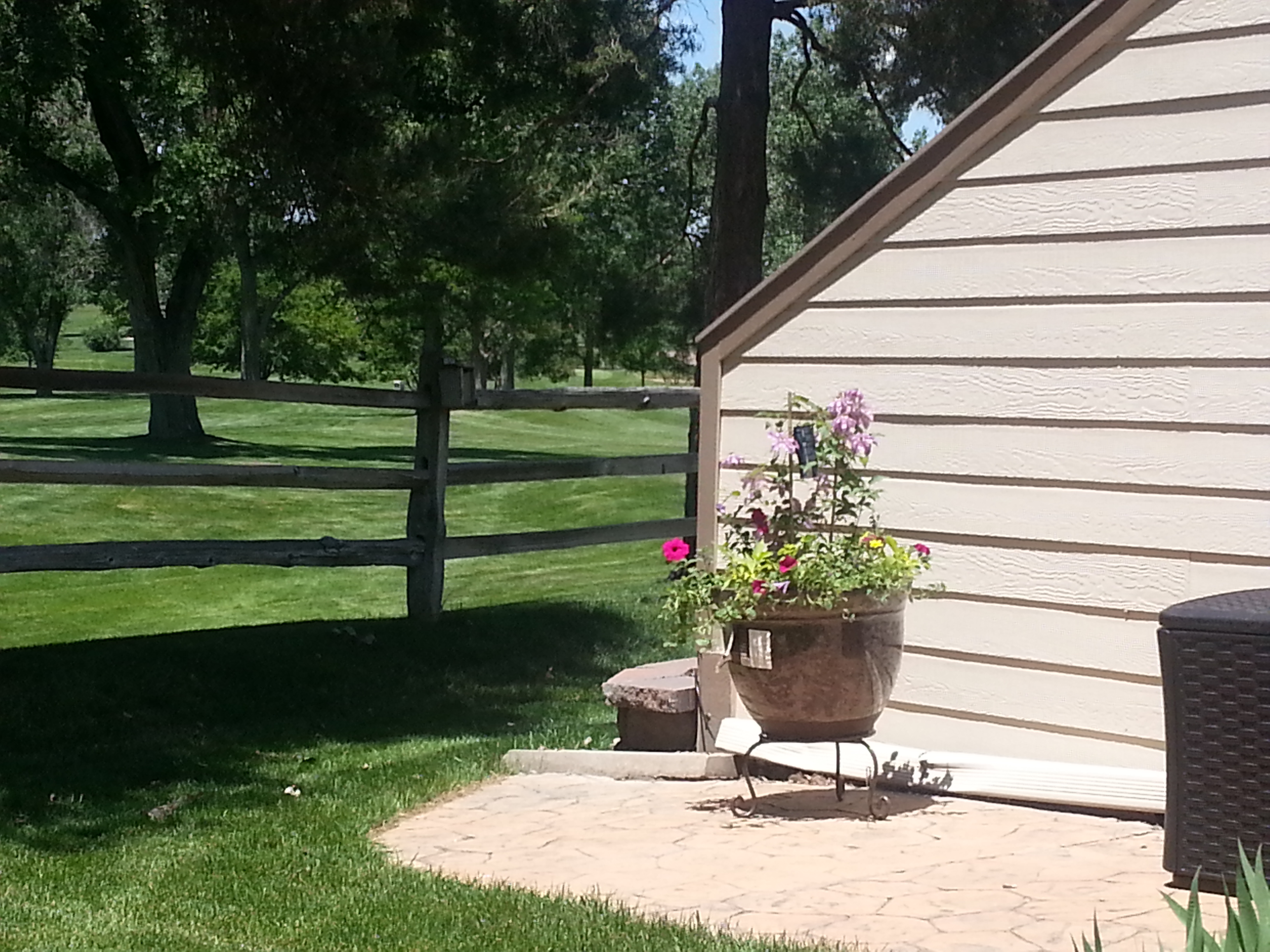 Lakewood Colorado Summer