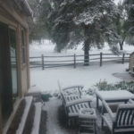 Lakewood Colorado Winter